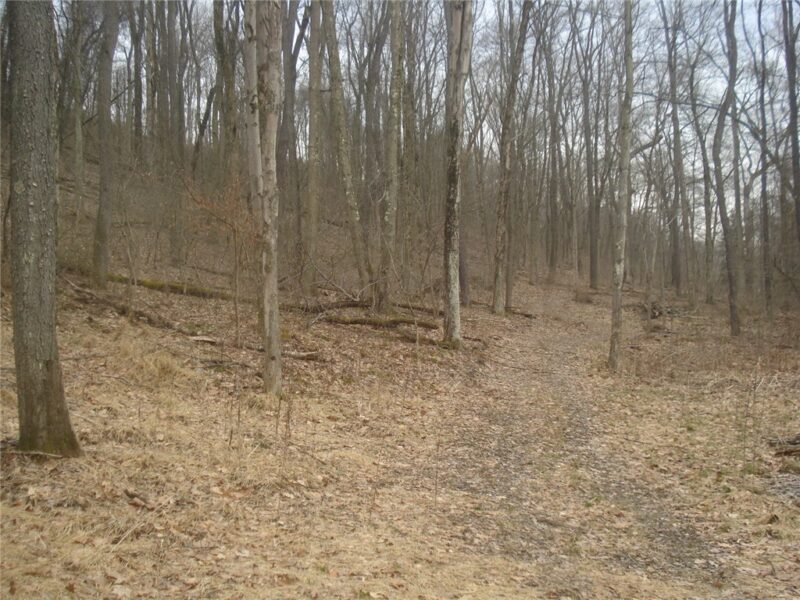 0 McDevitt — photo 5
