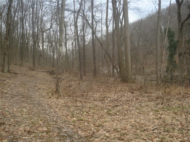0 McDevitt — photo 6