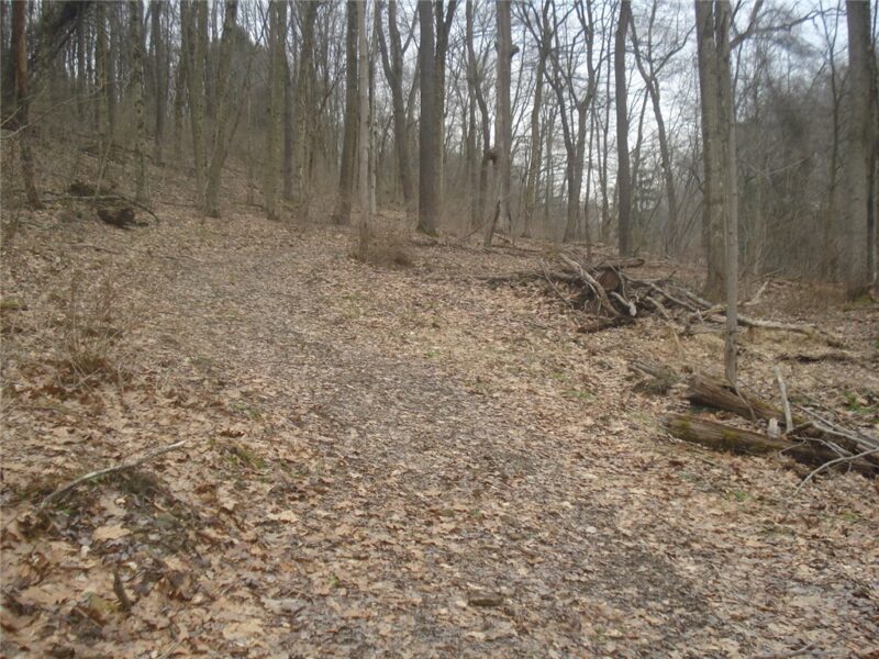 0 McDevitt — photo 7