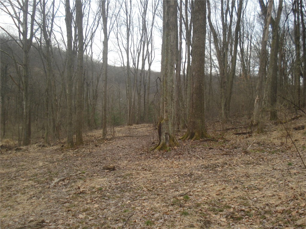 0 McDevitt — photo 1
