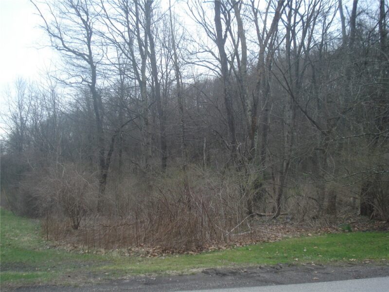 0 McDevitt — photo 6