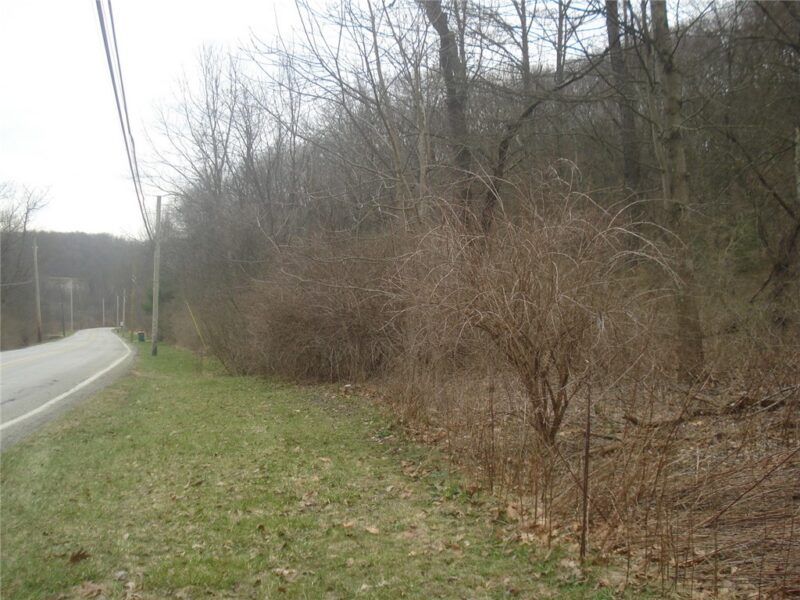 0 McDevitt — photo 8