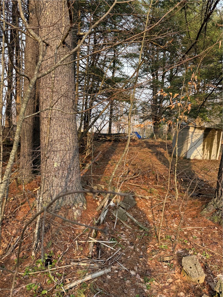 0 Casey Lane — photo 3