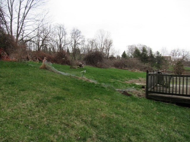 4022 Pittsburgh Road — photo 4