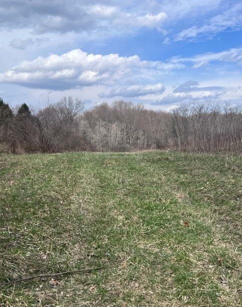 0 Stevenson Rd — photo 1