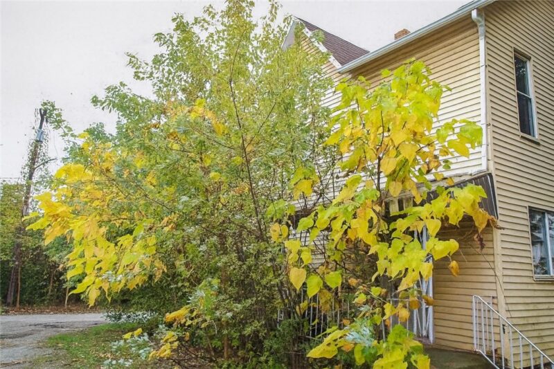 2713 Wilson St — photo 2
