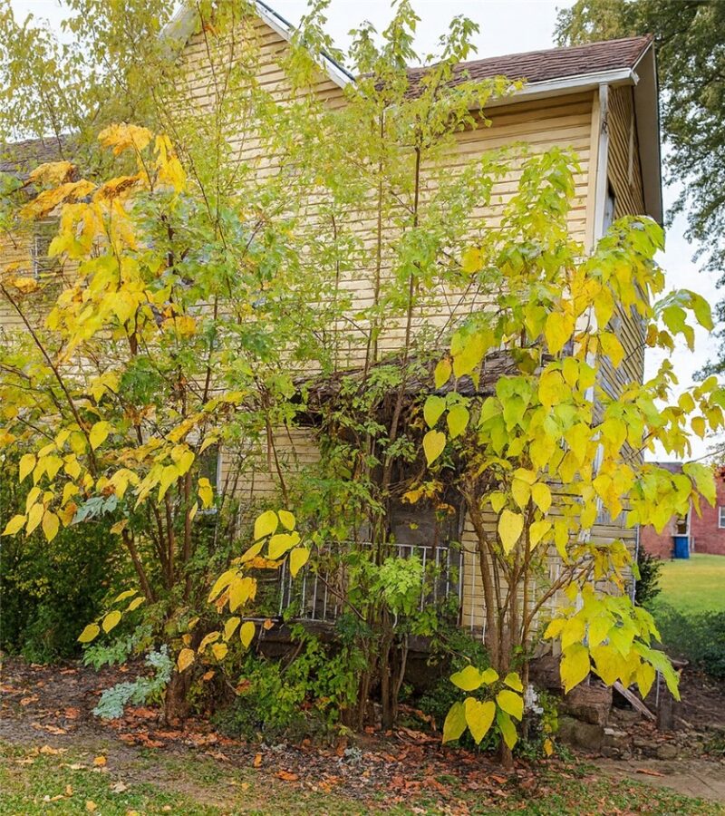 2713 Wilson St — photo 3