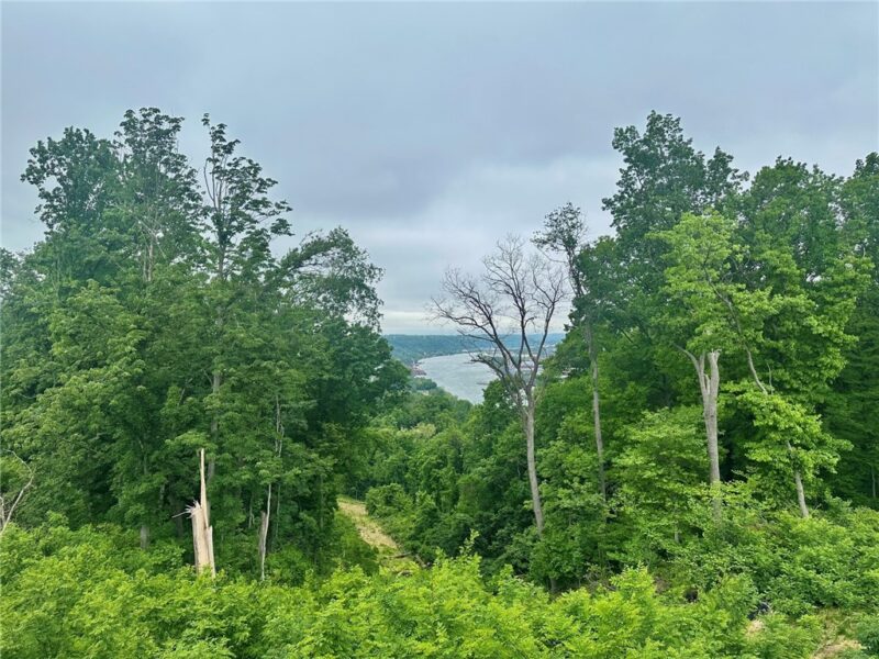 156 River Ridge Dr — photo 2