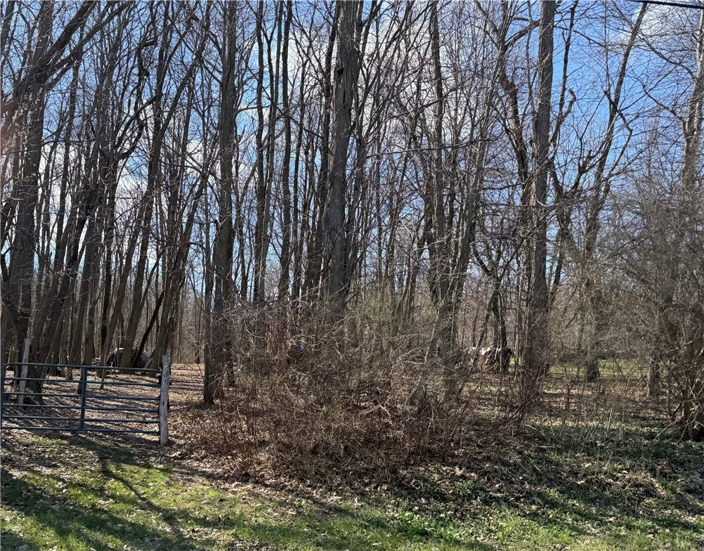 0 Saxonburg Road — photo 1