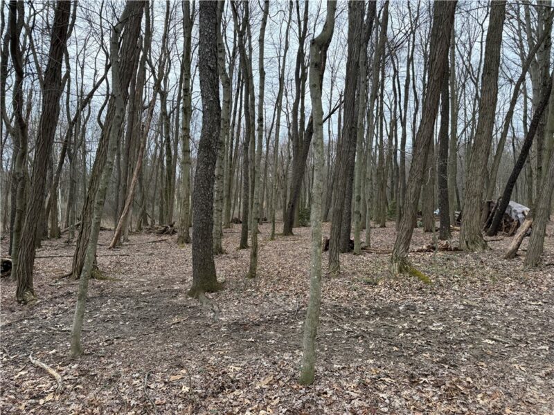 0 Saxonburg Road — photo 4
