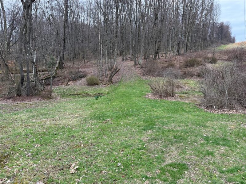 0 Saxonburg Road — photo 5
