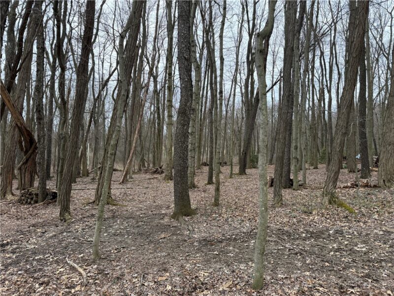 0 Saxonburg Road — photo 6