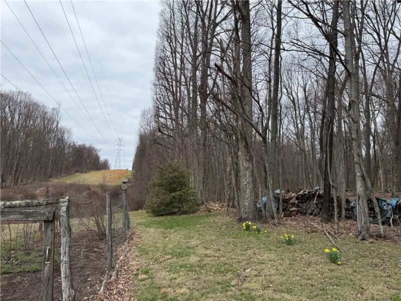 0 Saxonburg Road — photo 7