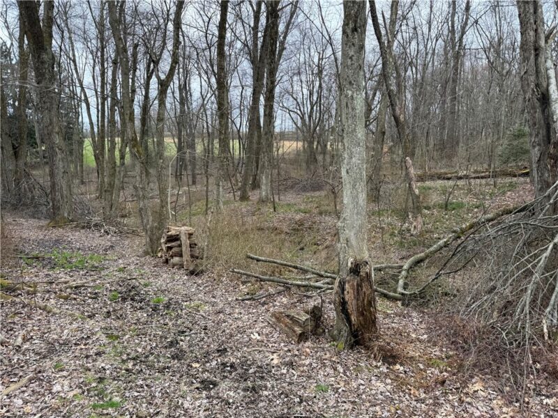 0 Saxonburg Road — photo 8
