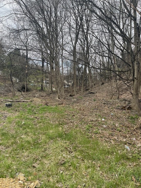 0 Spring St — photo 1