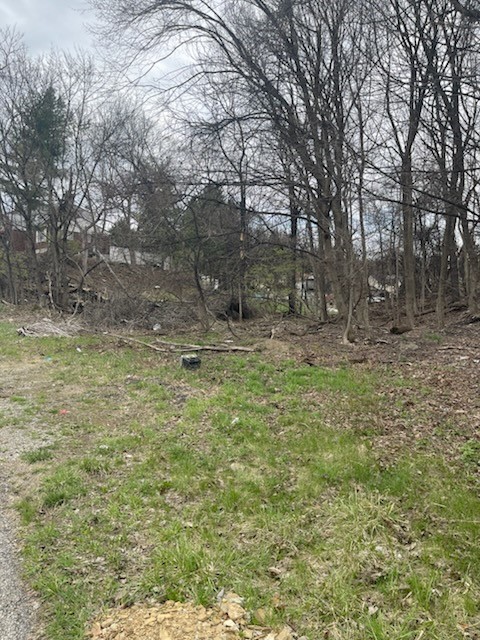 0 Spring St — photo 2