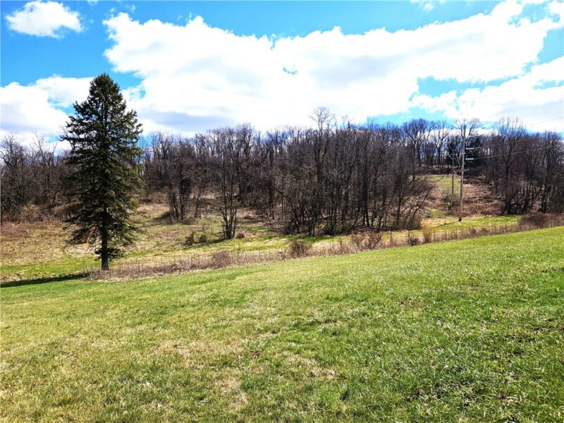 3350 New Texas Rd — photo 4