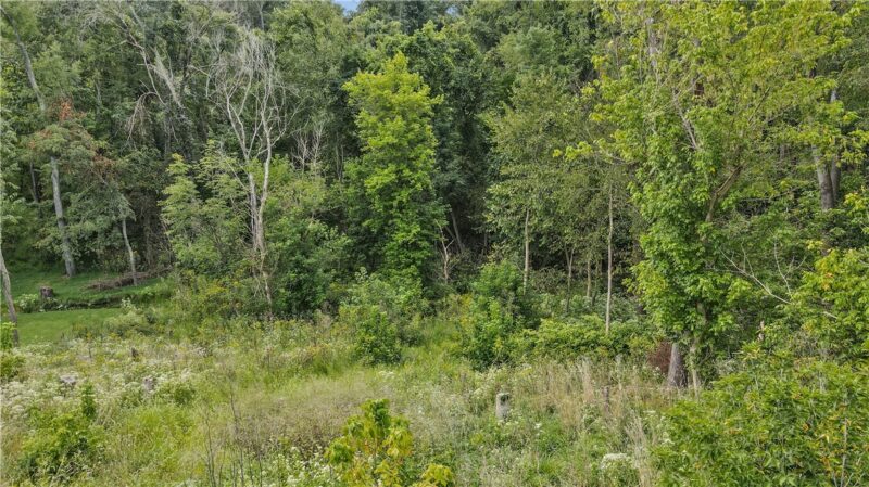 636 CLIFTON ROAD — photo 5