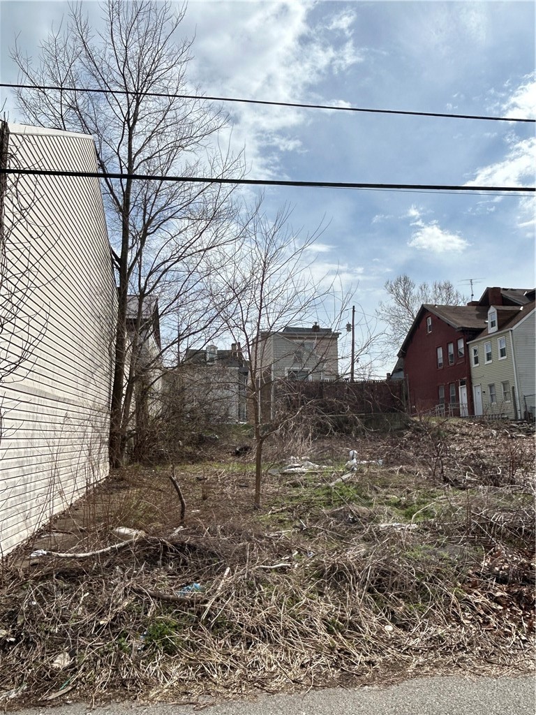 0 LOVITT — photo 4