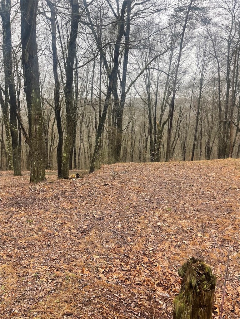 Lot 5 Blauser Lane — photo 1