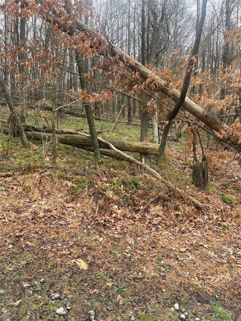 Lot 5 Blauser Lane — photo 6