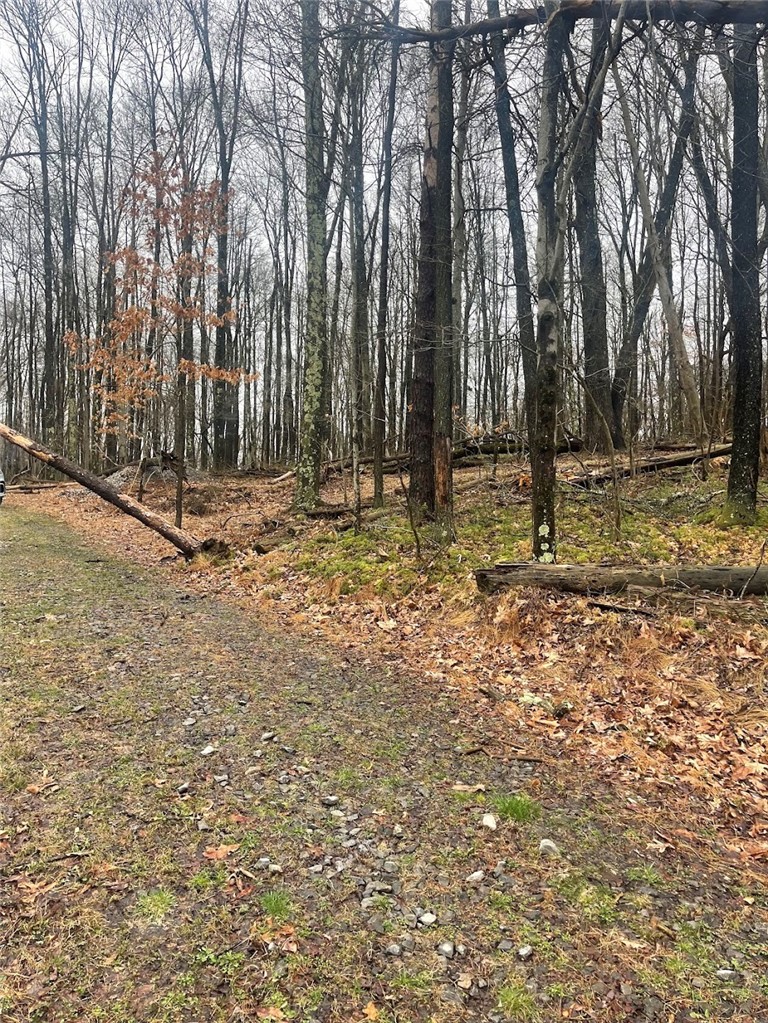 Lot 5 Blauser Lane — photo 7