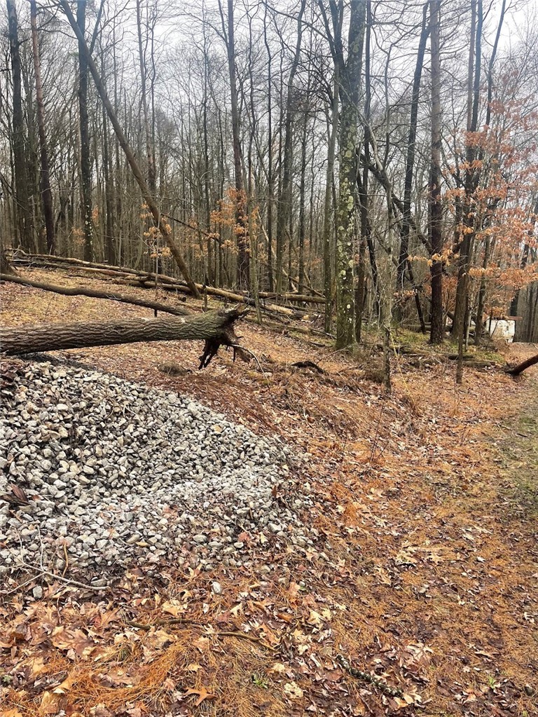 Lot 5 Blauser Lane — photo 8