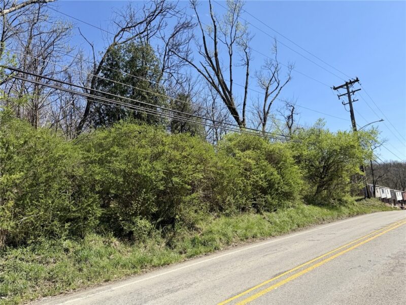 329 Mckee Rd — photo 3
