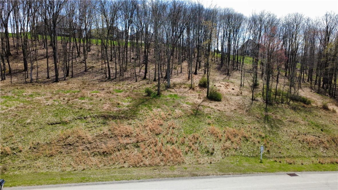 Lot 17 Ravenwood — photo 1