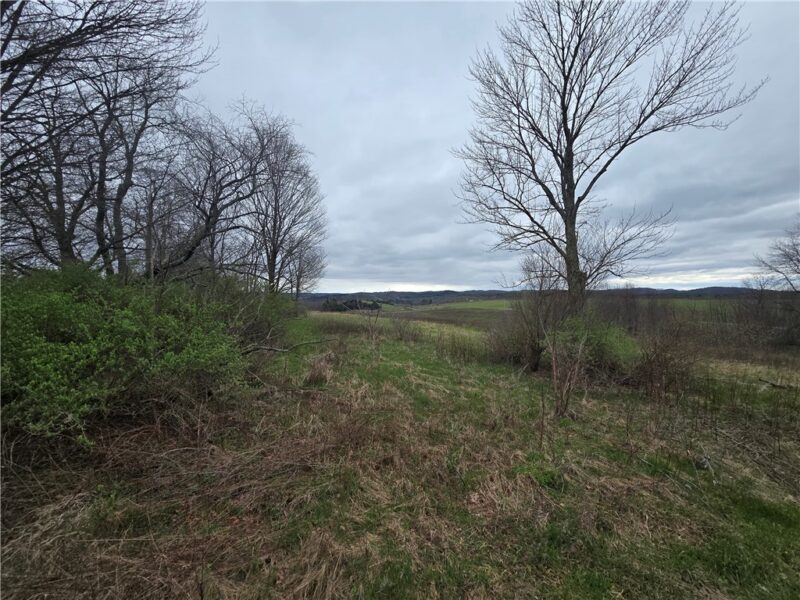 0 Cherry Church Run Rd — photo 6