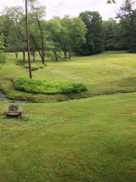245 Higgins Rd — photo 4