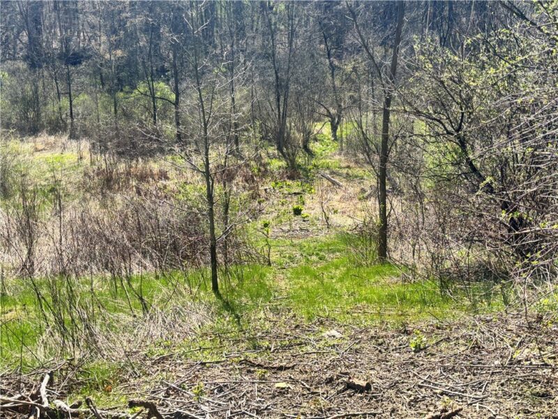 283 Mcclain Rd — photo 2