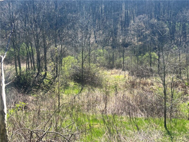 283 Mcclain Rd — photo 3