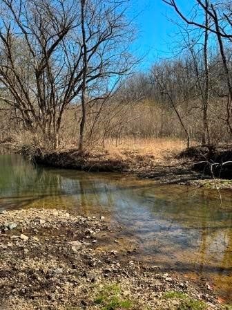 0 Brush Run — photo 1
