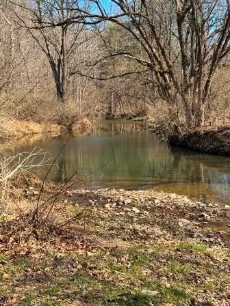 0 Brush Run — photo 2