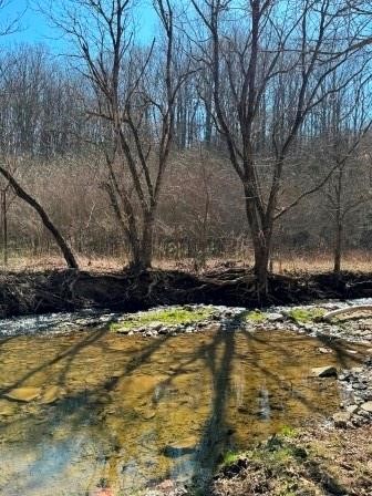 0 Brush Run — photo 4