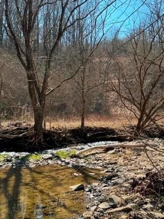 0 Brush Run — photo 5