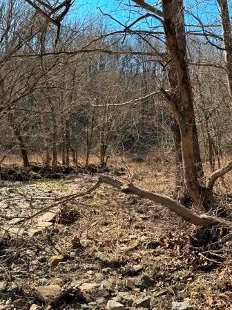 0 Brush Run — photo 6