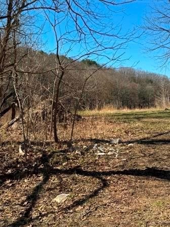 0 Brush Run — photo 7