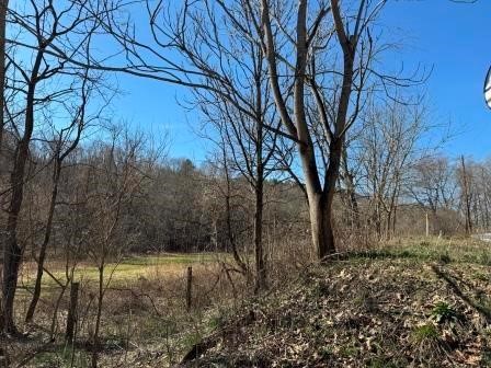 0 Brush Run — photo 8