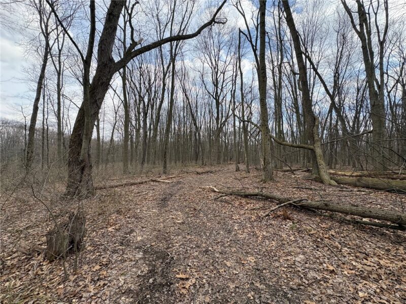 0 Orangeville Road — photo 3