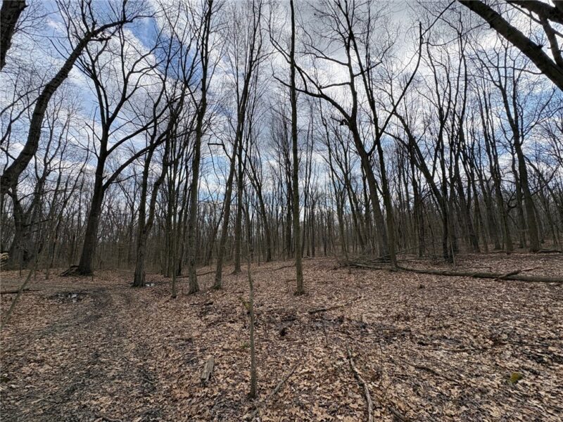 0 Orangeville Road — photo 6