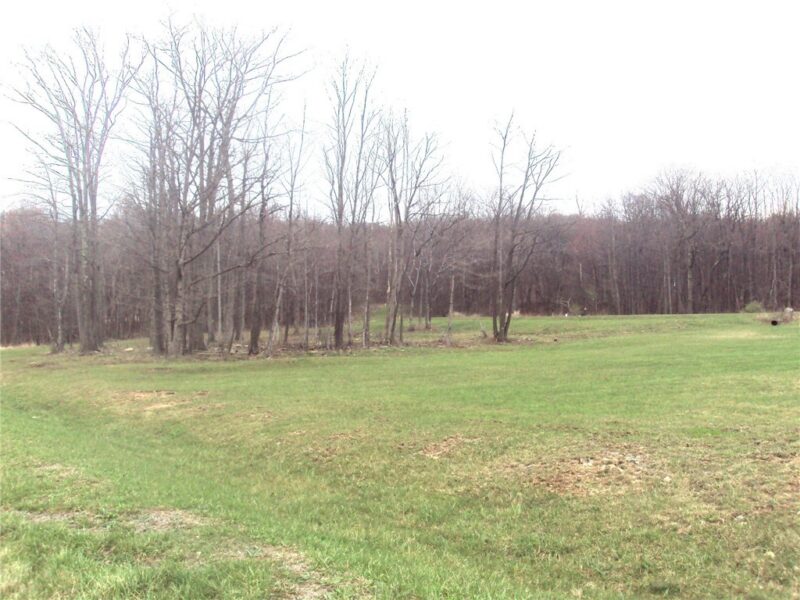 000 Garrett Shortcut Road — photo 3