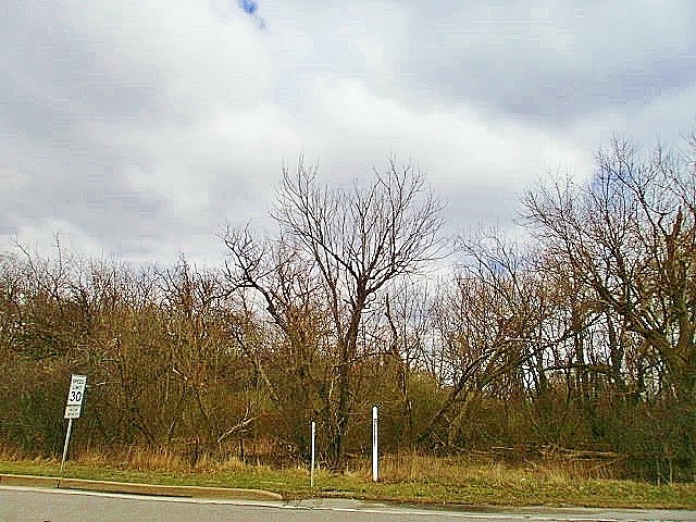 321 MCMURRAY RD — photo 1