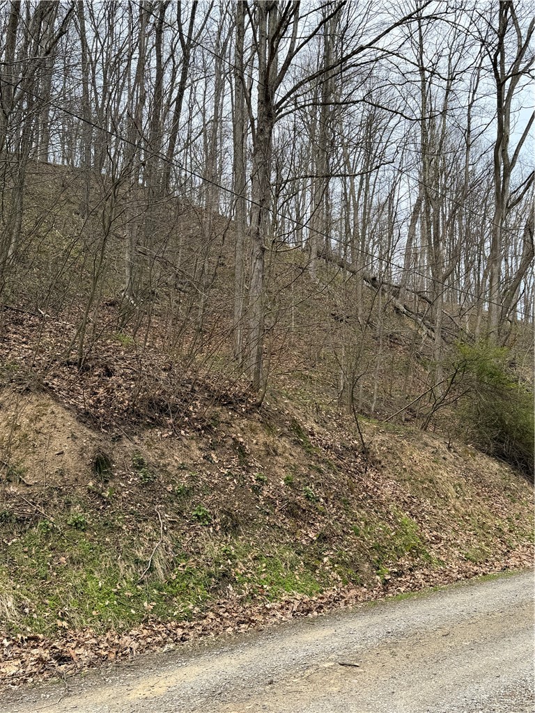 0 Coal Bank Hollow Rd — photo 1