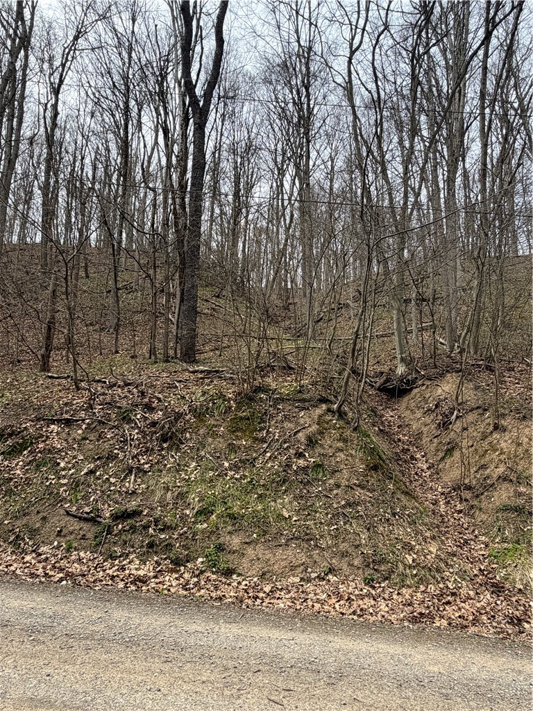 0 Coal Bank Hollow Rd — photo 2