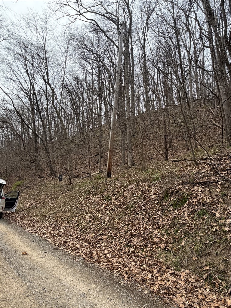 0 Coal Bank Hollow Rd — photo 3