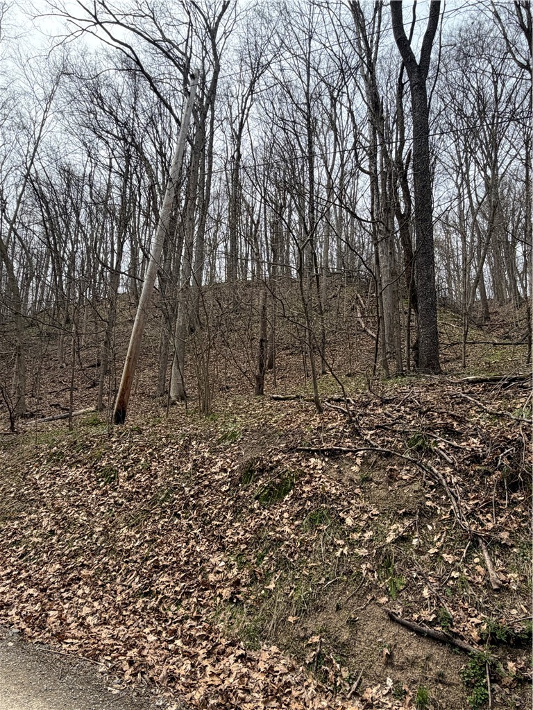 0 Coal Bank Hollow Rd — photo 4