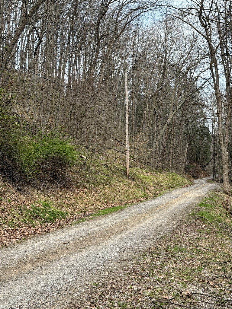 0 Coal Bank Hollow Rd — photo 5