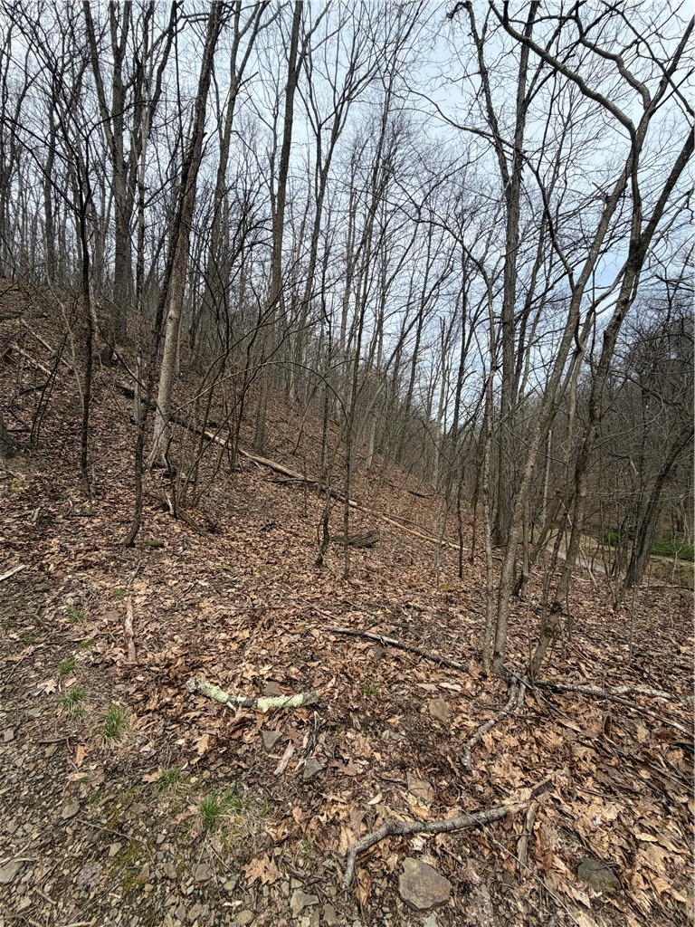 0 Coal Bank Hollow Rd — photo 6